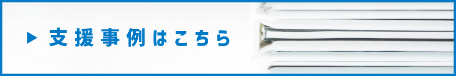支援事例